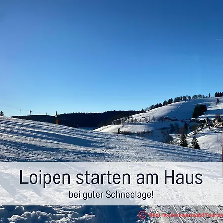 Apartamento Fewo Herzgrün an Skilift&Loipe mit traumhafter Aussicht Sauna im Haus Tiefgarage und E-Ladestation Todtnauberg