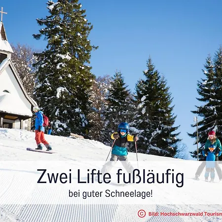 Fewo Herzgrün an Skilift&Loipe mit traumhafter Aussicht Sauna im Haus Tiefgarage und E-Ladestation * Todtnauberg