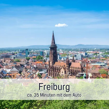 Urlaub Im Wanderparadies - Herzgruen Mit Traumhafter Aussicht Und Sauna Im Haus, E-ladestation Appartement