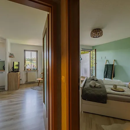 شقة Fewo Herzgruen Naehe Skilift Mit Traumhafter Aussicht Sauna Im Haus Tiefgarage Und E-Ladestation تودتنوبرغ