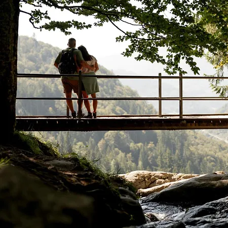 Fewo Herzgrün an Skilift&Loipe mit traumhafter Aussicht Sauna im Haus Tiefgarage und E-Ladestation Apartamento