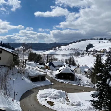 Apartamento Fewo Herzgrün an Skilift&Loipe mit traumhafter Aussicht Sauna im Haus Tiefgarage und E-Ladestation *