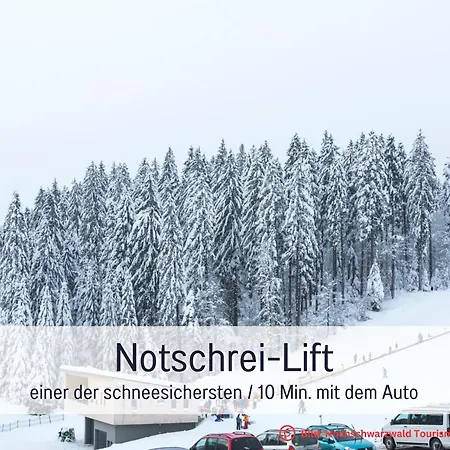 Apartamento Fewo Herzgrün an Skilift&Loipe mit traumhafter Aussicht Sauna im Haus Tiefgarage und E-Ladestation Todtnauberg