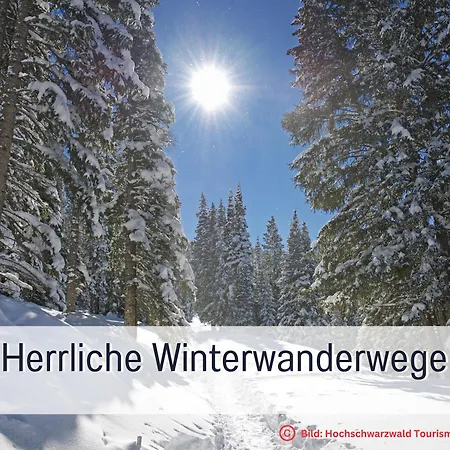 Apartment Urlaub Im Wanderparadies - Herzgruen Mit Traumhafter Aussicht Und Sauna Im Haus, E-ladestation