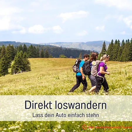 Urlaub Im Wanderparadies - Herzgruen Mit Traumhafter Aussicht Und Sauna Im Haus, E-ladestation * Todtnauberg