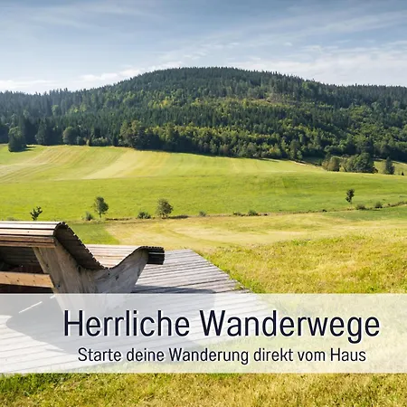Urlaub Im Wanderparadies - Herzgruen Mit Traumhafter Aussicht Und Sauna Im Haus, E-ladestation Apartment *